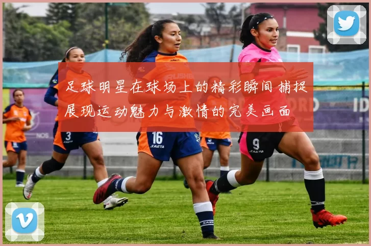 足球明星在球场上的精彩瞬间捕捉展现运动魅力与激情的完美画面
