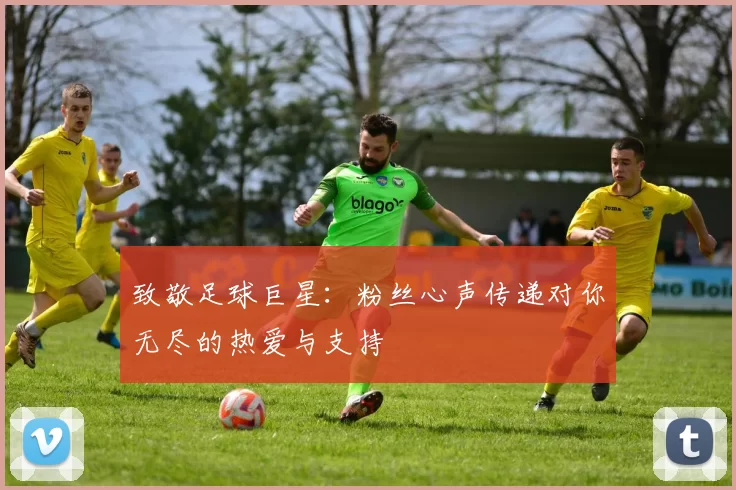 致敬足球巨星：粉丝心声传递对你无尽的热爱与支持