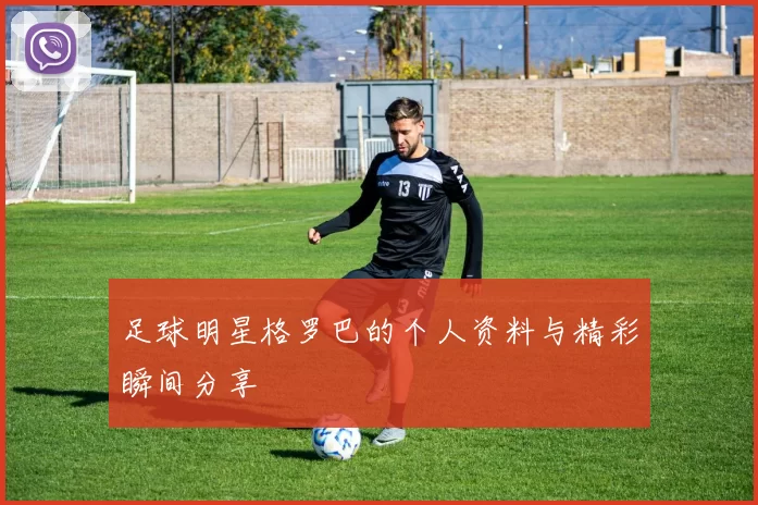 足球明星格罗巴的个人资料与精彩瞬间分享