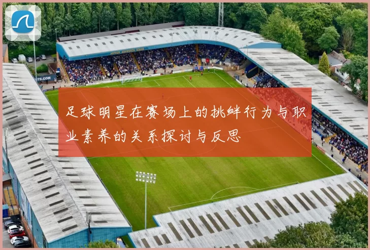 足球明星在赛场上的挑衅行为与职业素养的关系探讨与反思