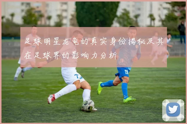 足球明星龙龟的真实身份揭秘及其在足球界的影响力分析