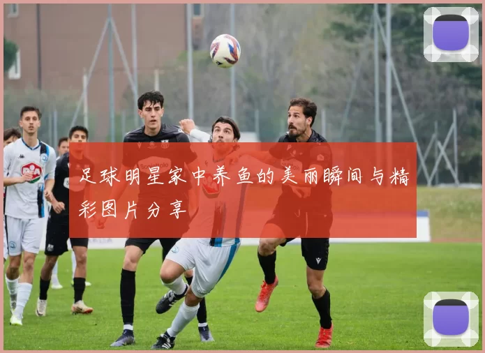足球明星家中养鱼的美丽瞬间与精彩图片分享