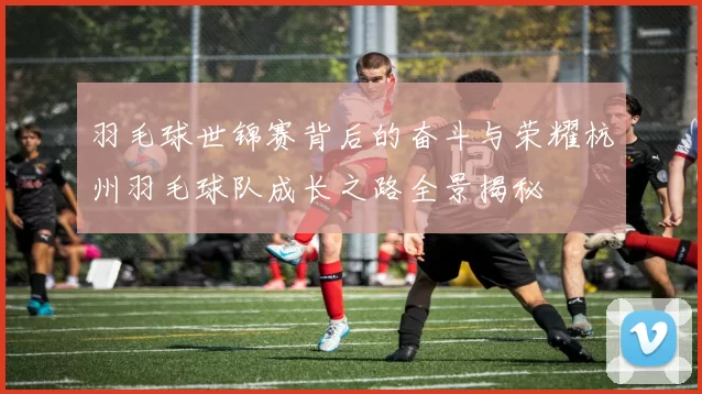 羽毛球世锦赛背后的奋斗与荣耀杭州羽毛球队成长之路全景揭秘